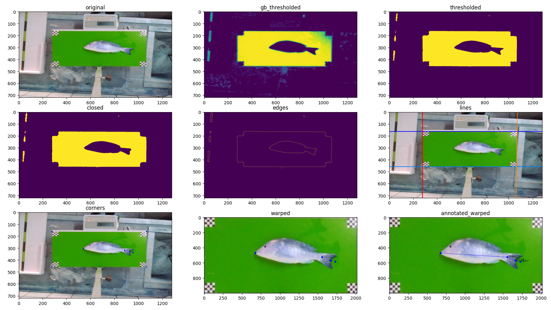 figure with subplots for each step